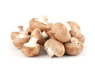 Mushroom Brown Button (Oman)